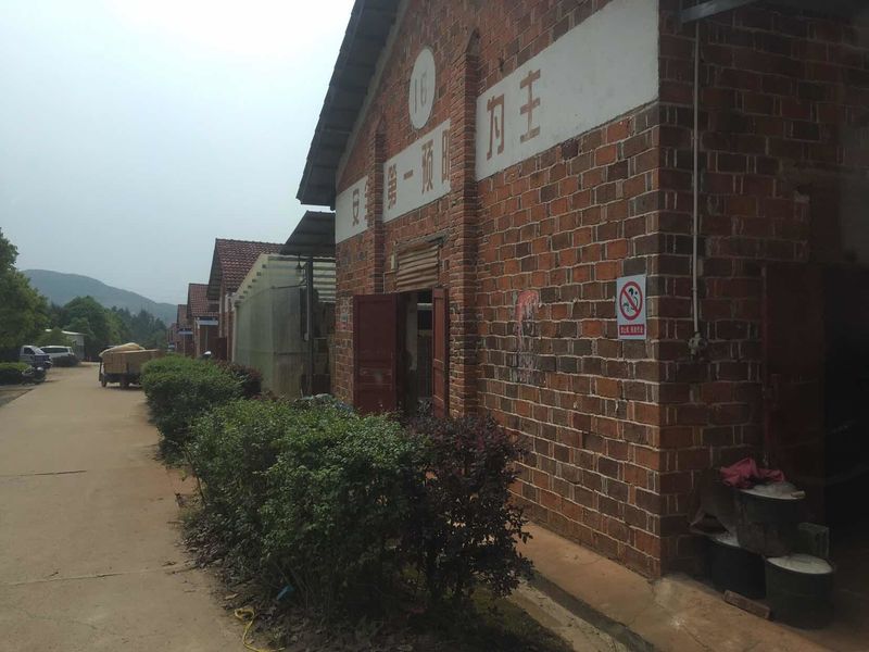 Çin Liuyang Mandarin Fireworks Co., Ltd. şirket Profili