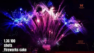 Liuyang 100 Shot Profesyonel Ekran Havai Fişek Kek 1.3G UN0335 piroteknik