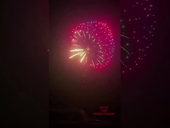 Fabrika Liuyang Mandarin Pyrotechnics Gösterge Kabuklar Havai fişekleri 6 Inch Profesyonel Kabuk Havai fişekleri