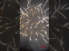 Profesyonel Gösterim Havai Fişek Morta Topçu Shell Pyrotechnics Tedarikleri 6 Inch Gösterim Kabukları