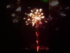 Liuyang Piroteknik Havai Fişek 196 Çekim Profesyonel Pasta Havai Fişek Özel Efekt Gösterisi