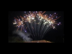 Mandarin 1.3g Piroteknik 13 Atış Profesyonel Tek Sıra Havai Fişek