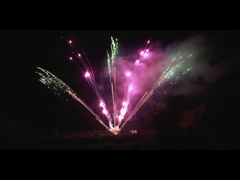 Çince Pyrotechnics Outdoor 300 Shots Profesyonel havai fişekler 1.3g Fan şeklinde