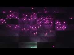 Liuyang Mandarin Kek Pyrotechnics 208 Şutlar Profesyonel Gösterim Havai fişekleri 1.3g