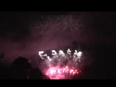 Liuyang 56 Şutlar Profesyonel Havai Fişekleri 1.3g Un0335 Festival kutlamaları için