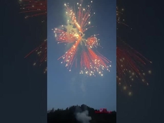 Liuyang Gümüş At Kuyruklu Havai Fişek Kekleri 2024 Çin Fabrikası Havai Fişekleri ve Havai Fişekleri Tüketici Kekleri