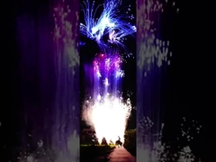 Çinli özel 100 atış piroteknik tüketiciler yeni yıl için kek havai fişekleri