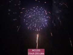 Çince 25 Şut Kek Fişek Kutlama Toplantıları İçin Pyrotechnic