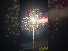 Özel Pyrotechnics Kek Fişekler Yeni Yıl 2023 Kutlaması için selam