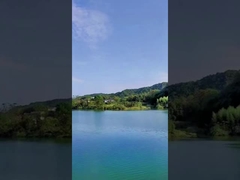 Gündüz 49 Çekim Çin Pastası Havai Fişek Kutlama İçin Renkli Duman Havai Fişek