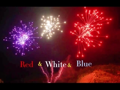 Çinli Liuyang Profesyonel 108 Şut Kek Havai fişek 1.4g Un0336