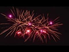 Açık hava 20 Şut Kutlama Pastası Pyrotechnics Fan şeklinde Özel 1.4g