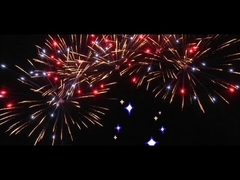 Çince 25 Şut Fan Cake Festivali için havai fişek Özel Açık Hava hava havai fişek