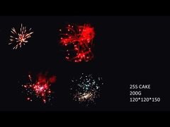 2021 Yeni Yüksek Kaliteli Çince 16 Vuruş 200g Tüketici Kek Kutlama Partisi İçin Havai Fişekleri