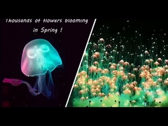 Yeni Yıl Oyuncak Fener Fenerleri Balık Fenerleri Kullanıcı Yenilik Fenerler Gökyüzü Fotoğrafları Fener Fenerleri