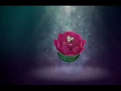 Güzel Toprak Dönüşü Lotus Havai fişekleri / Doğum Günü Oyuncakları Havai fişekleri