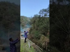 Cinsiyet açıklama partisi Popper Konfetti Kanonu, Düğün için Holi Barut Kanonu