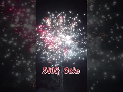 Liuyang Fabrikası 20 Şut Kek Fişek Çin Toptan İhracat Düğün Pyrotechnics