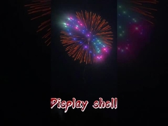1.3g Profesyonel Havai Fişek Ekranı Profesyonel Pyrotechnics 3 4 5 6 8 10 Inch Display Shell 2025