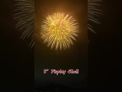 Festivaller ve Kutlamalar 2 2,5 3 4 5 6 8 inç ekran kabuğu 1.3g profesyonel havai fişekleri