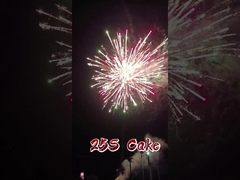 Liuyang Mandarin Fabrikası Toptan Kağıt havai fişekleri 1.4g Pyrotechnics 2 inç 25 Shots Cake havai fişekleri