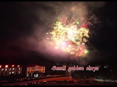 Yeni Geliş Fenerbahçesi