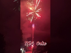 Liuyang Fabrikası 116 Atış Fişek Toptan Fişek Çin Dışarı Pastası Fişek