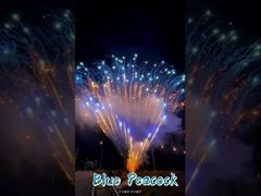 Fabrika 0.8 İnç 300 Atış 1.3g Profesyonel Pasta Havai Fişek Gösterisi Havai Fişek Piroteknik Selamı