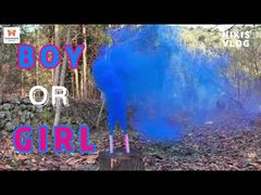 Çin Fabrikası Gündüz Düğün Elde Taşınabilir Renkli Duman Fişeği Havai Fişekleri Parti Cinsiyet Açıklama Duman Bombaları