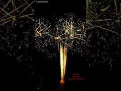 100 Atışlık Festival Pastası Havai Fişek Gösterisi Etkinlikleri Dış Mekan Profesyonel Piroteknik 1.3G Havai Fişek