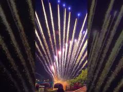 Çin Fabrikası Özelleştirilebilir Havai Fişekler 1.3G Profesyonel Pasta Havai Fişekleri Noel Festivali Düğün