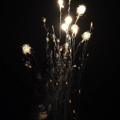 Chinese 's 1.4 Pro Line Fireworks Mandarin 210 Shots 1000g Cake Pyrotechnics for US Market
