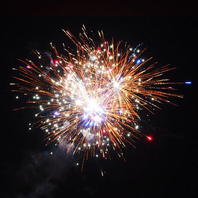 1.4 Pro Line Fireworks 1000g 226 Shots Salutes Cake Pyrotechnics for Christmas and Wedding Celebration