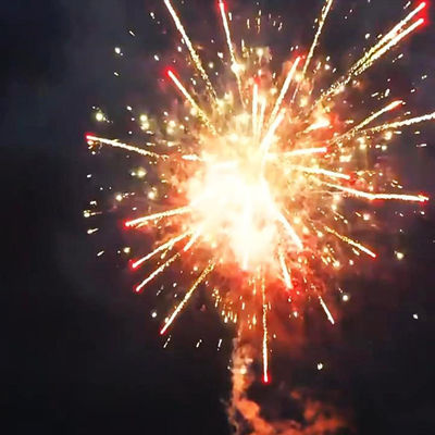 Chinese Wholesale Fireworks Pyrotechnics New Fireworks 2025 Factory 100 Shots Cake Fireworks For New Year Party Celebration