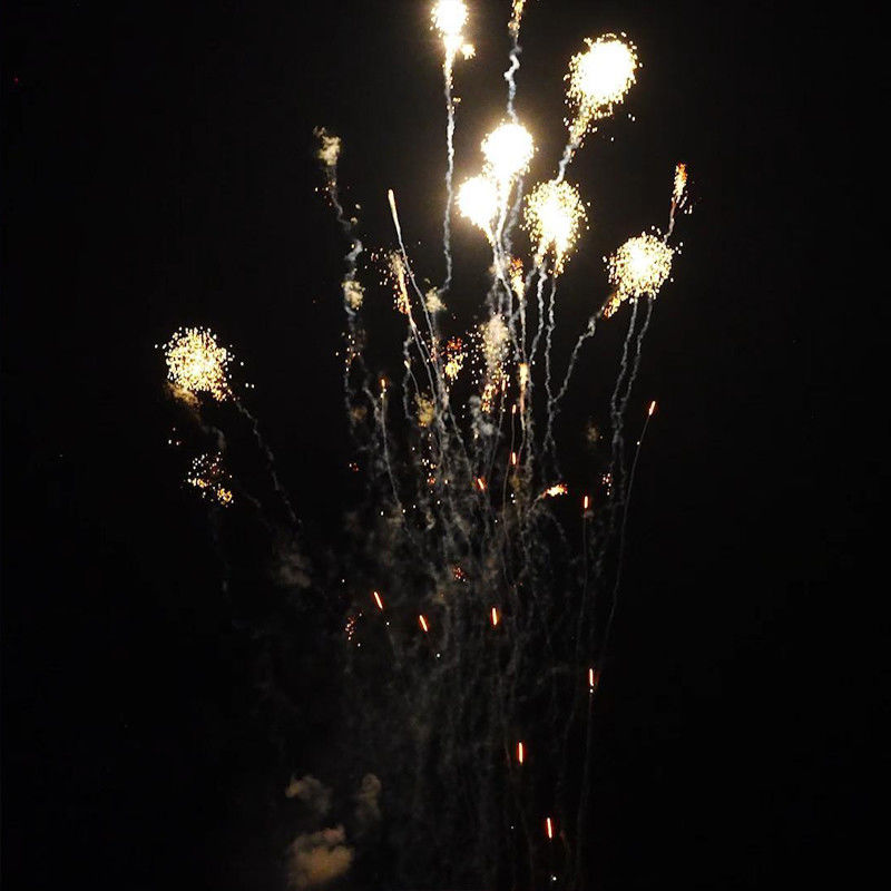 Chinese 's 1.4 Pro Line Fireworks Mandarin 210 Shots 1000g Cake Pyrotechnics for US Market