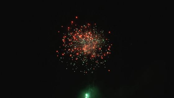 Noel Festivali Açık Havada Profesyonel Kek Havai Fişek Özelleştirilebilir 49 Çekim
