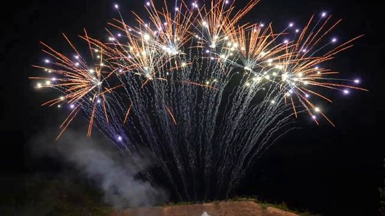 Mandarin1.3g Profesyonel Pyrotechnics 13 Şutlar Profesyonel Tek Satırlı Havai Fişekler Satılık Havai Fişekler