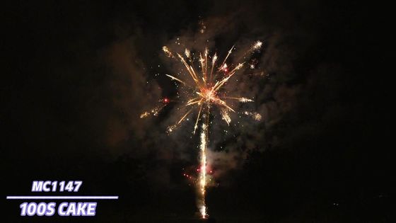 Liuyang Özel Efektler Profesyonel Kek Havai Fişek Piroteknik 100 Atış