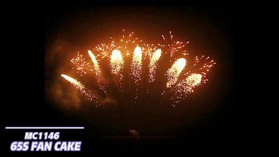 Mandarin Fireworks Piroteknik 65 Atış Yelpaze Şeklinde Havai Fişek