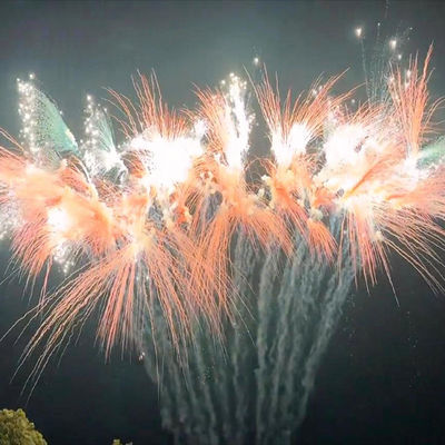 Çince Pastırma Fişekleri Tipi Festivalleri Kutlama Fişekleri Açık Hava Fişekleri 2024