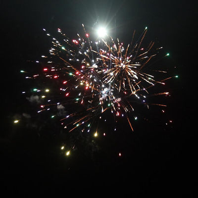 Çin Pyrotechnics Açık Hava Tüketici Pastası Fişek 49 Atış