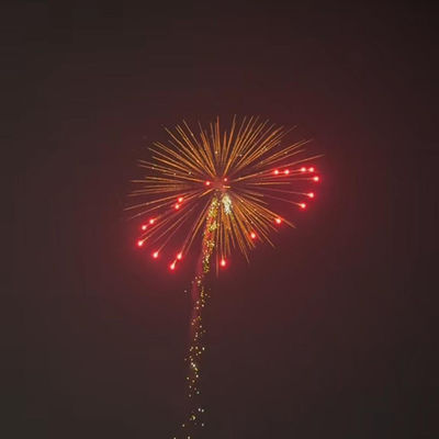 Mandarin Profesyonel 1.3g Pyrotechnics Havai fişekler Topçu Salute Shell Canister 4 Inch Display Guns Fireworks