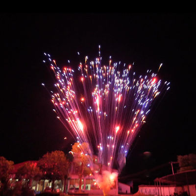 Ateş Fişekler Çin fabrikası 1.2 Inch 24 Shots Pasta Ateş Fişekleri Kutlama için 1.4g Un0336 Pyrotechnics