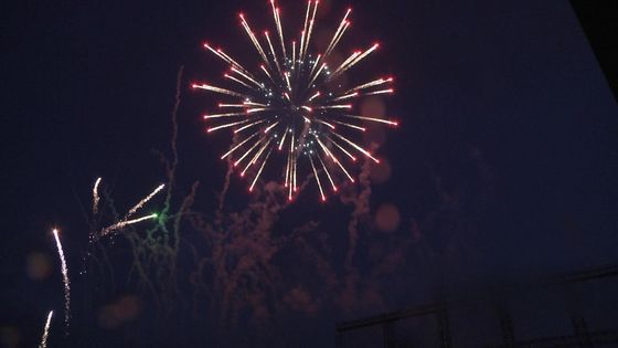 Profesyonel Gösterim Havai Fişekleri Satılık 2.5 Inch Gösterim Kabukları Havai fişekleri 1.3g Un0335 Pyrotechnics Malzemeleri MC1340