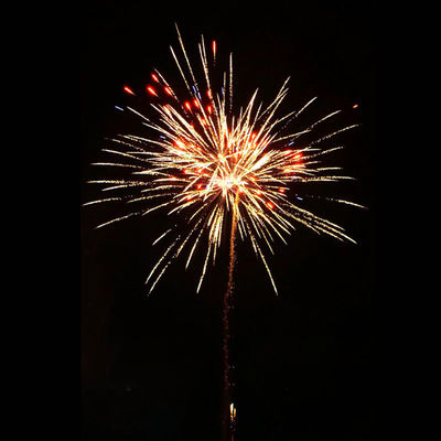 Liuyang Pyrotechnics 100 Şut Tüketici Toptan Tüketici Kek Fişekleri 2025 Yeni Fişekler İnanılmaz Etki Fişekler Kek