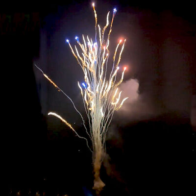 Çin Fabrikası Özel 100 Atış Kurt Ulumaları Pasta Havai Fişekleri Toptan Piroteknik Yeni Yıl Noel Düğün Kutlaması İçin Yeni Havai Fişekler