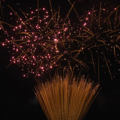 1.2 Inch 100 Shots Cake Fireworks 1.3G Profesyonel UN0335 Sertifikalı Açık Hava Kutlamaları için Pyrotechnics